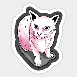 Cute white cat Sticker